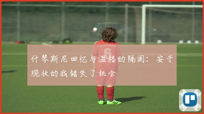 什琴斯尼回忆与温格的隔阂：安于现状的我错失了机会