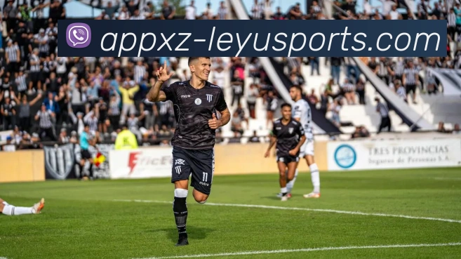 乐鱼体育平台生态图