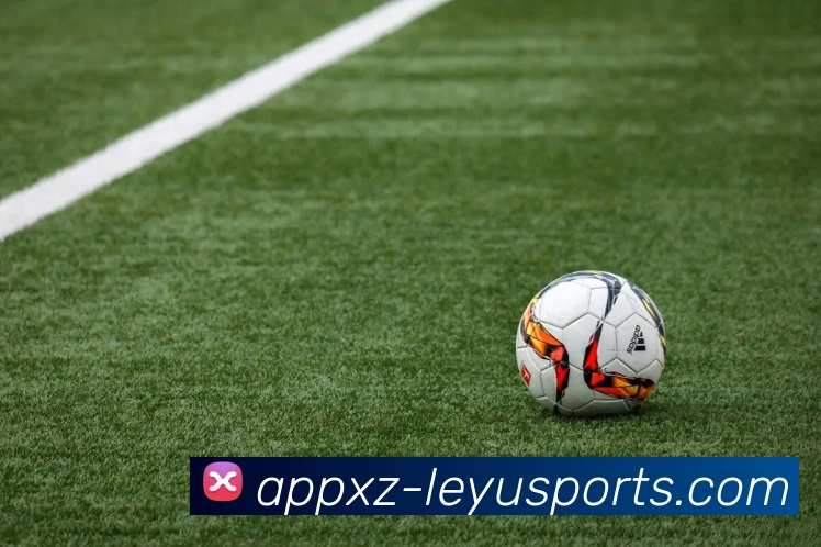 乐鱼体育APP 封面图